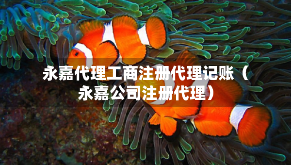 永嘉代理工商注册代理记账（永嘉公司注册代理）