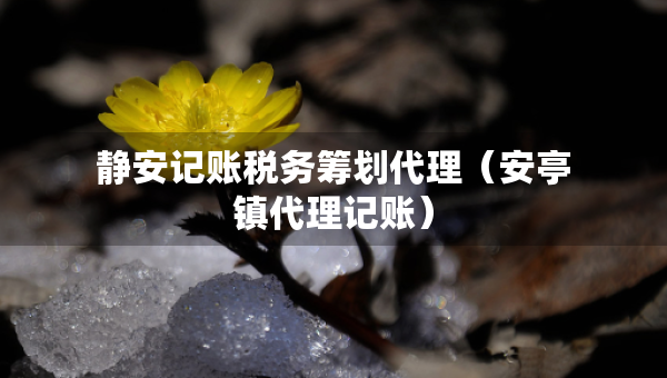 静安记账税务筹划代理（安亭镇代理记账）