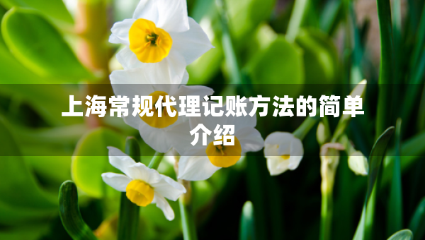 上海常规代理记账方法的简单介绍