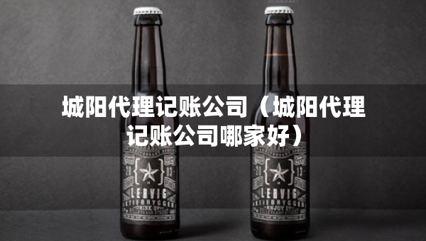 城阳代理记账公司（城阳代理记账公司哪家好）