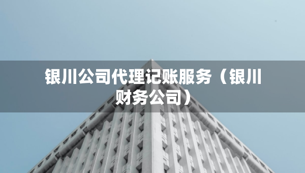 银川公司代理记账服务（银川财务公司）