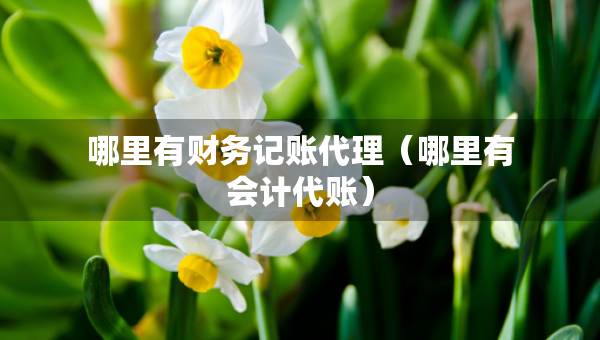 哪里有财务记账代理（哪里有会计代账）