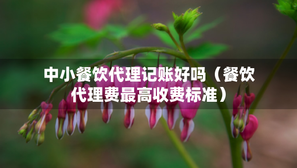 中小餐饮代理记账好吗（餐饮代理费最高收费标准）
