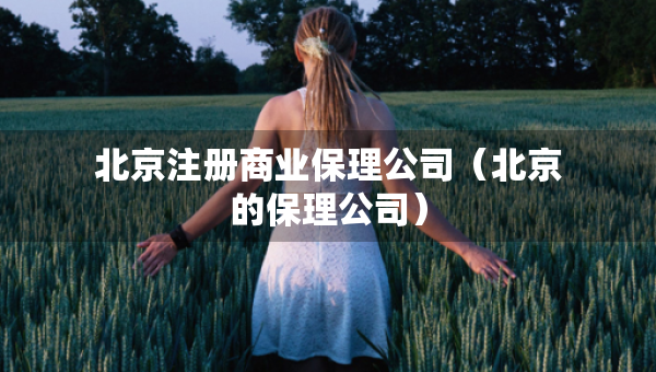 北京注册商业保理公司（北京的保理公司）
