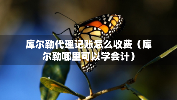 库尔勒代理记账怎么收费(库尔勒哪里可以学会计) 库尔勒代理记账怎么收费(库尔勒哪里可以学会计)