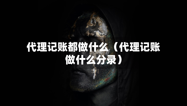 代理记账都做什么（代理记账做什么分录）