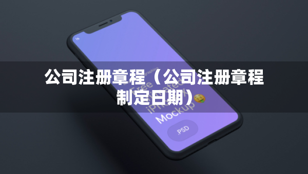 公司注册章程（公司注册章程制定日期）