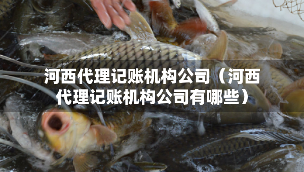 河西代理记账机构公司（河西代理记账机构公司有哪些）