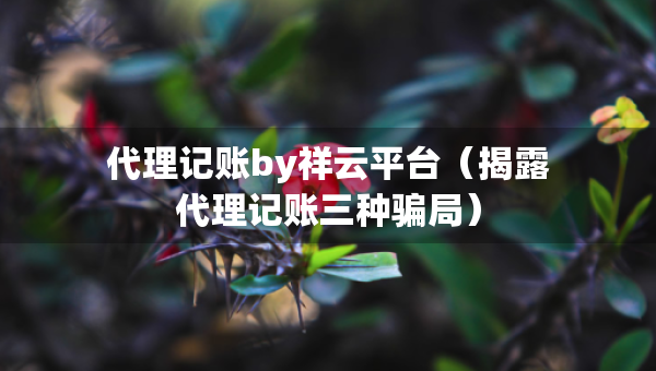 代理记账by祥云平台（揭露代理记账三种骗局）