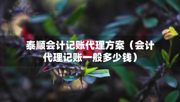 泰顺会计记账代理方案（会计代理记账一般多少钱）
