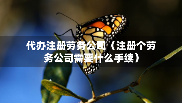 代办注册劳务公司（注册个劳务公司需要什么手续）