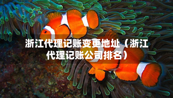 浙江代理记账变更地址（浙江代理记账公司排名）