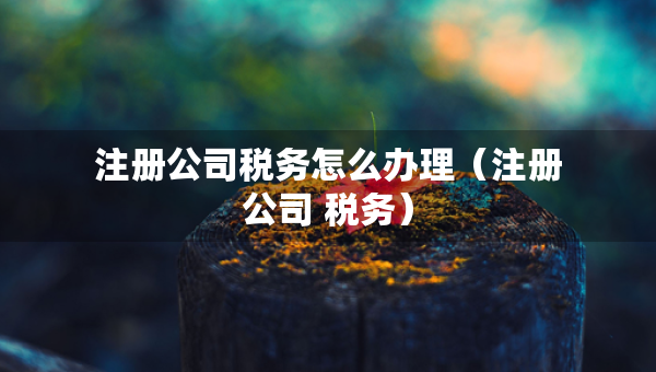 注册公司税务怎么办理（注册公司 税务）