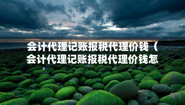 会计代理记账报税代理价钱（会计代理记账报税代理价钱怎么填）