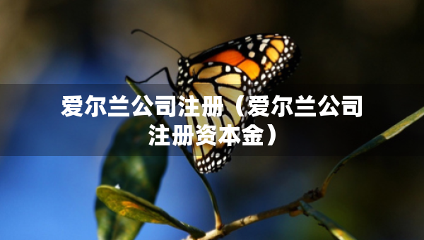 爱尔兰公司注册(爱尔兰公司注册资本金) 爱尔兰公司注册(爱尔兰公司注册资本金)
