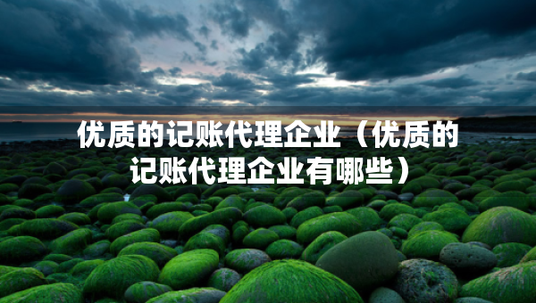 优质的记账代理企业（优质的记账代理企业有哪些）