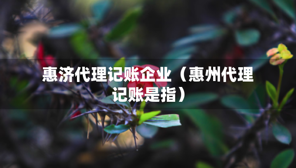 惠济代理记账企业（惠州代理记账是指）