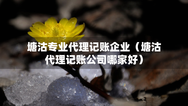 塘沽专业代理记账企业（塘沽代理记账公司哪家好）