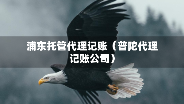 浦东托管代理记账（普陀代理记账公司）