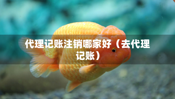 代理记账注销哪家好（去代理记账）