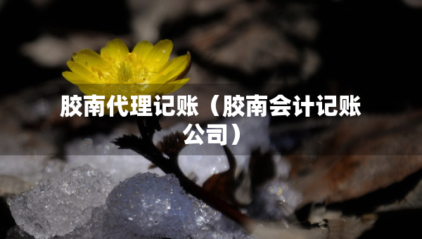 胶南代理记账(胶南会计记账公司) 胶南代理记账(胶南会计记账公司)