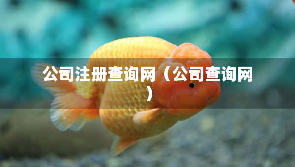 公司注册查询网（公司查询网）