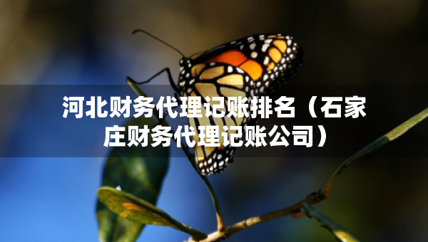 河北财务代理记账排名（石家庄财务代理记账公司）