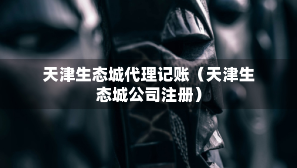 天津生态城代理记账（天津生态城公司注册）