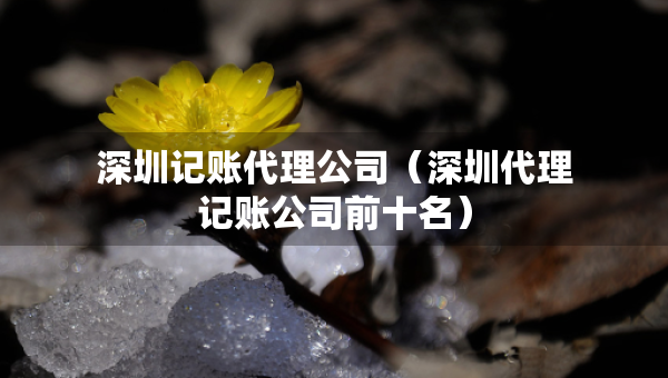 深圳记账代理公司（深圳代理记账公司前十名）