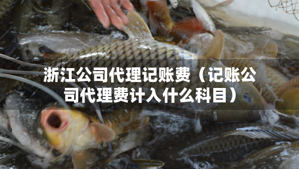 浙江公司代理记账费（记账公司代理费计入什么科目）
