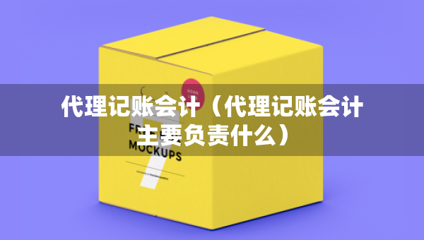 代理记账会计（代理记账会计主要负责什么）