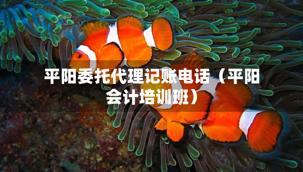 平阳委托代理记账电话（平阳会计培训班）