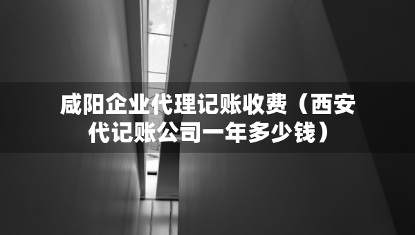 咸阳企业代理记账收费（西安代记账公司一年多少钱）