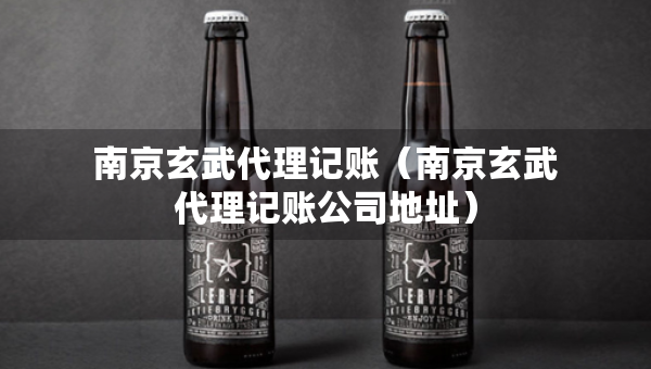 南京玄武代理记账（南京玄武代理记账公司地址）