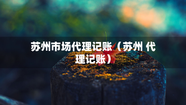 苏州市场代理记账（苏州 代理记账）