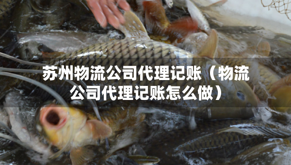 苏州物流公司代理记账（物流公司代理记账怎么做）