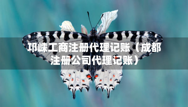 邛崃工商注册代理记账（成都注册公司代理记账）