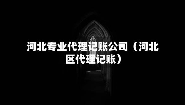 河北专业代理记账公司（河北区代理记账）