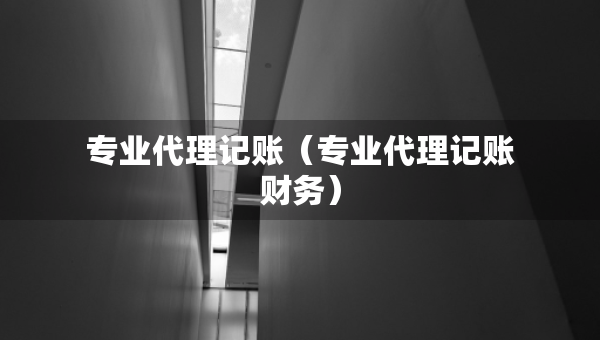 专业代理记账（专业代理记账财务）