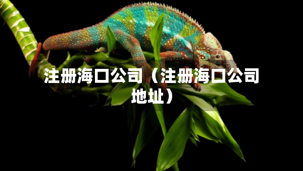 注册海口公司（注册海口公司地址）
