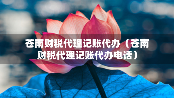 苍南财税代理记账代办（苍南财税代理记账代办电话）