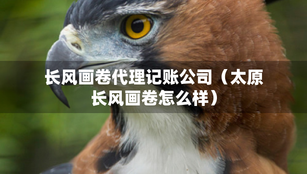 长风画卷代理记账公司(太原长风画卷怎么样) 长风画卷代理记账公司(太原长风画卷怎么样)