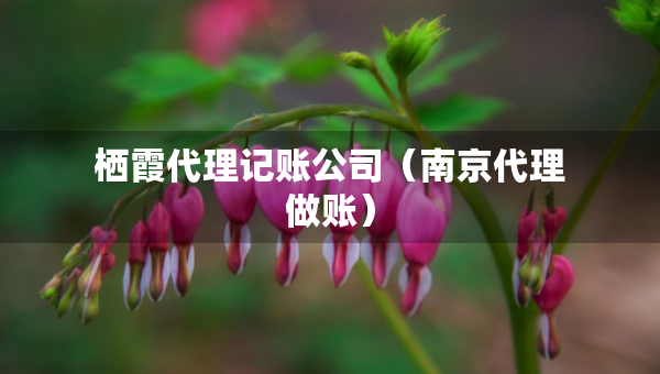 栖霞代理记账公司（南京代理做账）