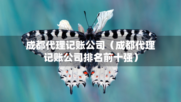 成都代理记账公司（成都代理记账公司排名前十强）