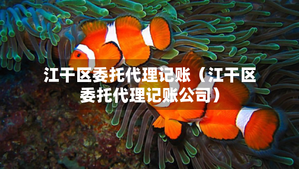 江干区委托代理记账（江干区委托代理记账公司）
