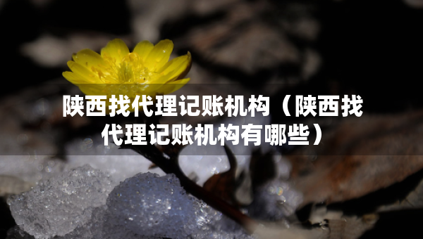 陕西找代理记账机构（陕西找代理记账机构有哪些）