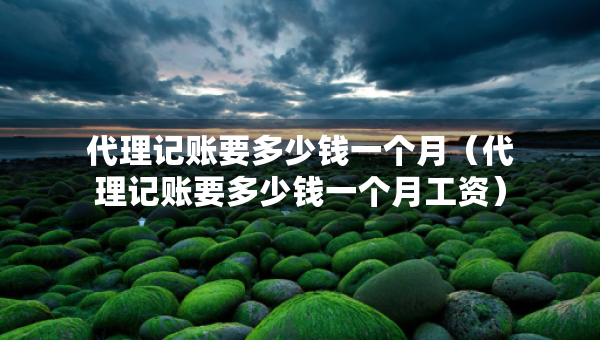 代理记账要多少钱一个月（代理记账要多少钱一个月工资）