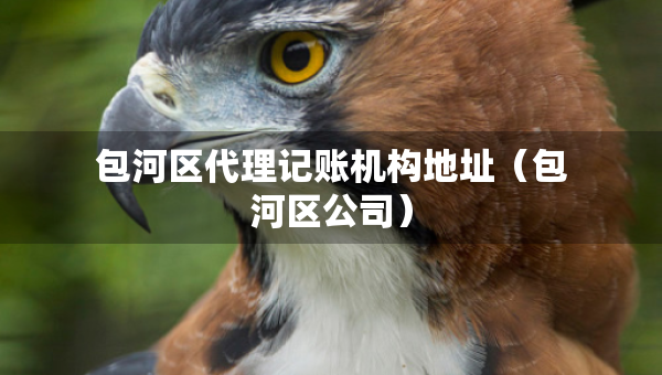 包河区代理记账机构地址（包河区公司）