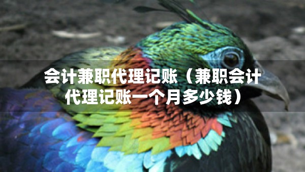 会计兼职代理记账（兼职会计代理记账一个月多少钱）