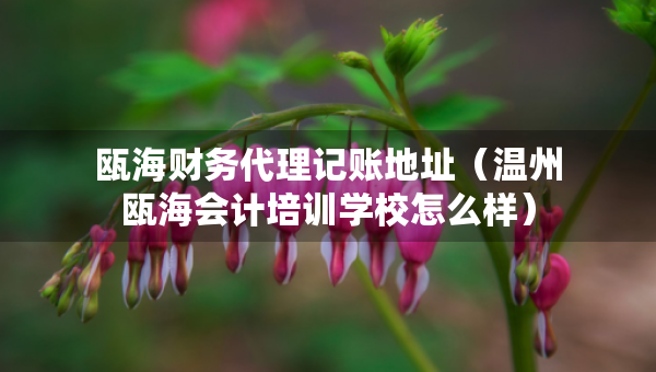 瓯海财务代理记账地址（温州瓯海会计培训学校怎么样）